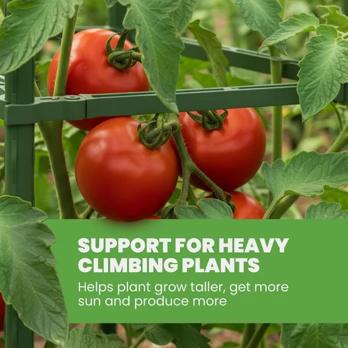 Vista 4 de Jaula de tomate – Estacas grandes de enrejado y estructuras de soporte para plantas para verduras y plantas trepadoras – Jaulas altas para tomate
