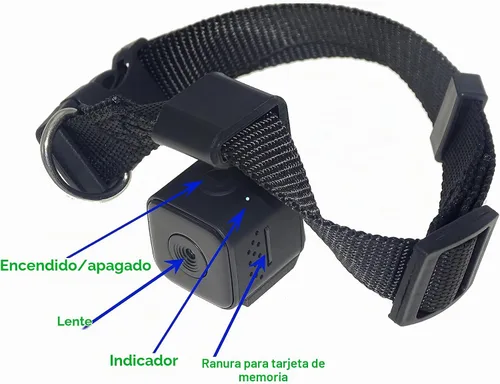 Vista 5 de Monitor del grabador de vídeo de la cámara DVR del collar del animal doméstico de Digitaces para el cachorro del gato