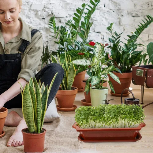 Vista 5 de GANAZONO Maceta colgante para bonsái, maceta de plástico para jardín, guardería, macetas de árbol bonsái, macetas de cultivo para suculentas