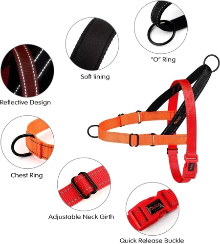 Vista 2 de Didog - Arnés para perros sin tirones con asa acolchada suave, ajustable y ligero, fácil de ajustar para entrenamiento y paseo para perros pequeños