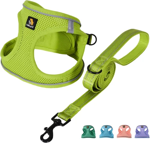 Vista 9 de BELLA & PAL Arnés de chaleco con entrada por pasos para perros pequeños y medianos, arnés para perros pequeños sin tirones con juego de correa