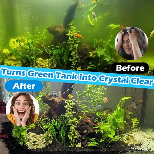 Vista 8 de Hypool Filtro de acuario U-V de 600 GPH para tanque de peces grande de 100 a 500 galones, bañera de inmersión fría, filtro de estanque de piscina