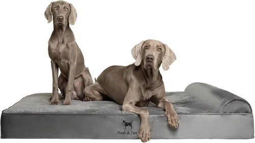 Vista 30 de NOAH & PAW Cama pequeña para perros, 20 x 15 x 6.5 pulgadas, cama para gatos de interior, espuma viscoelástica ortopédica de cáscara de huevo Verde