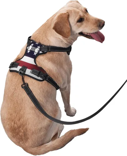 Vista 3 de Arnés personalizado para perro sin tirones, chaleco personalizado de hueso de perro con nombre de mascota, arnés reflectante ajustable personalizado