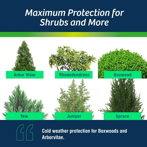 Vista 3 de Wilt-Pruf® Concentrado Protege contra daños en invierno, sequías y estrés Simplemente rocía y deja secar Bloquea la humedad con película