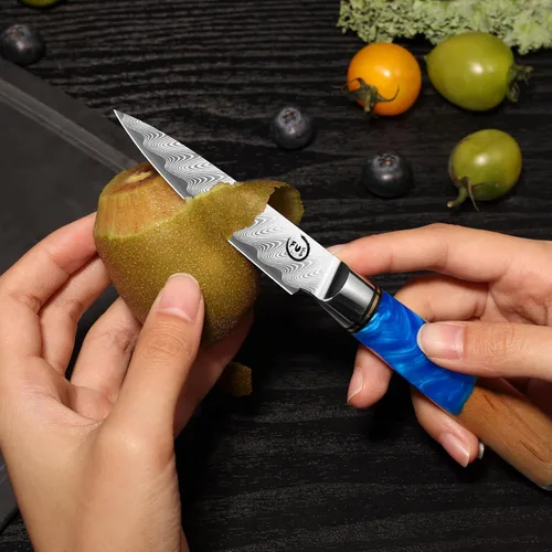 Vista 8 de Cuchillo de pelar de 3.5 pulgadas, cuchillo de pelar de damasco pequeño cuchillo de fruta ultra afilado Damasco VG10 Core acero con 66 capas