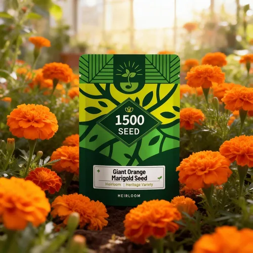 Vista 14 de Semillas de equinácea púrpura (Echinacea purpurea), flores perennes nativas resistentes, período de floración largo, ideales para hacer flores