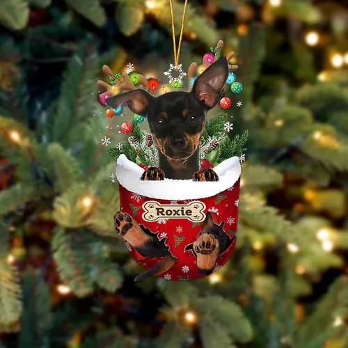 Vista 14 de LOVELYPOD Adorno Personalizado de Perro Affenpinscher, Adornos de Navidad Affenpinscher Regalo para Amante de Perros, Adorno de Navidad Colgante