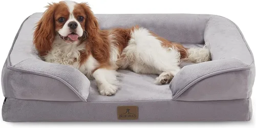 Vista 19 de Bedfolks - Cama ortopédica extra pequeña para perros, cama de sofá impermeable para perros pequeños y gatos, sofá de espuma en forma de huevo