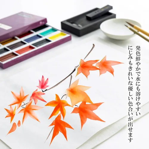 Vista 4 de Sumikundo 15504 - Pintura (12 colores)