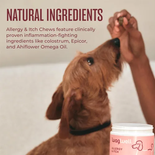 Vista 3 de WagWell Masticables para alergias y picazón para perros Formulado por veterinarios para aliviar la alergia, picazón en la piel, intestino e inmune