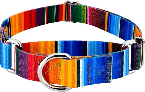 Vista 13 de Country Brook Petz - Collar de perro Albuquerque Martingale - Colección Country and Western con diseños rústicos (1/2 pulgada, 2XS)