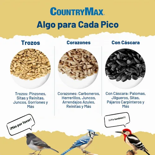 Vista 4 de CountryMax Backyard Seeds Semillas de Girasol de Aceite Negro para Aves Silvestres (50 Libras)