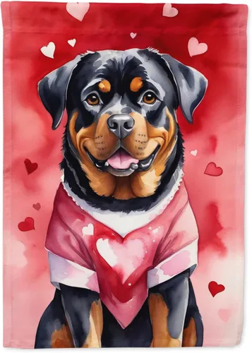 Vista 9 de Caroline's Treasures DAC5252GF Affenpinscher - Bandera de jardín con texto en inglés "My Valentine", bandera decorativa para patio exterior, patio