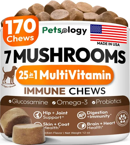 Vista 13 de Tratamiento de infecciones urinarias para perros, 170 masticables de arándano para perros, infección del tracto urinario, salud de la vejiga