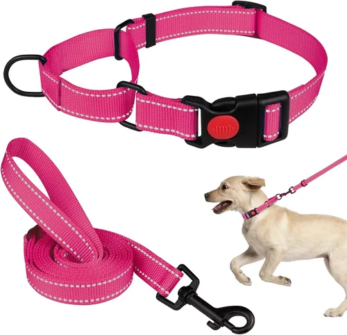 Vista 21 de Set de Collar y Correa Martingale para Perros Collares de Martingale para Perros Collar de Martingale Reflectante para Perros Pequeños, Medianos