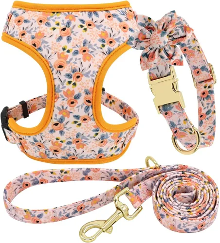 Vista 15 de Beirui Lindo juego de collares, arneses y correas para perro hembra, juego de collar y correa ajustable con flor - Arnés de malla suave para Azul
