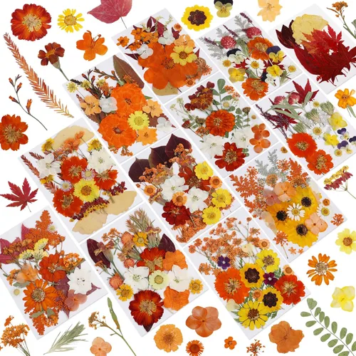 Vista 8 de Flores secas prensadas para resina, 103 piezas de flores secas naturales