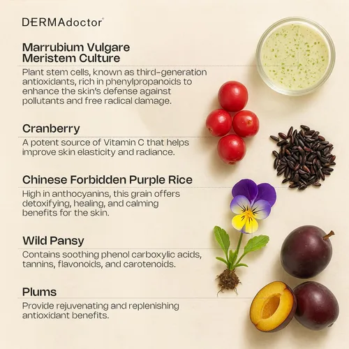 Vista 6 de DERMAdoctor Suero antioxidante para la cara Vitamina C y E Suero facial - Protección antioxidante contra la contaminación ambiental para la piel