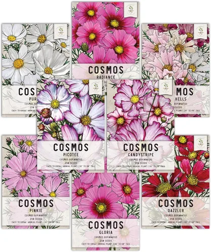 Vista 12 de Seed Needs - Semillas de Capuchina para Plantar Flores Comestibles - Juego de Colección de Mezcla Joya y Capuchinas de Doble Brillo para Atraer