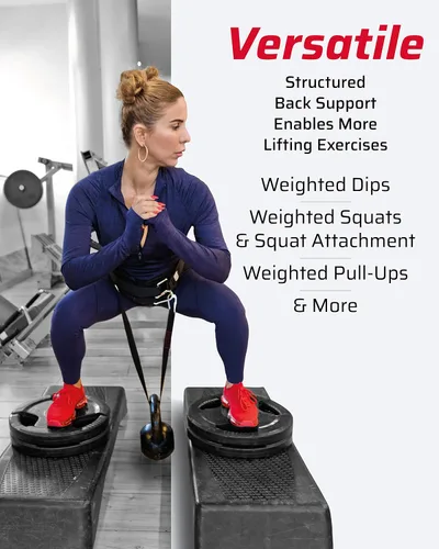 Vista 4 de THEFITGUY Paquete de sujeción de cable de cuerda ergonómica para tríceps y cinturón de inmersión definitivo