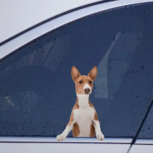 Vista 42 de Calcomanías de perro caniche, divertidas calcomanías de vinilo troqueladas para automóvil, laptop, parachoques Estilo-37