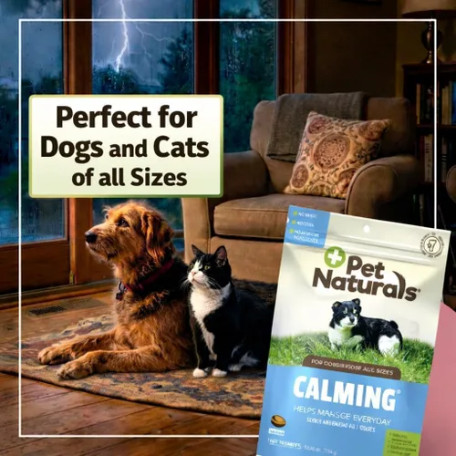Vista 4 de Pet Naturals of Vermont - Calming, suplemento calmante de apoyo del comportamiento para perros y gatos, 160 bocadillos masticables