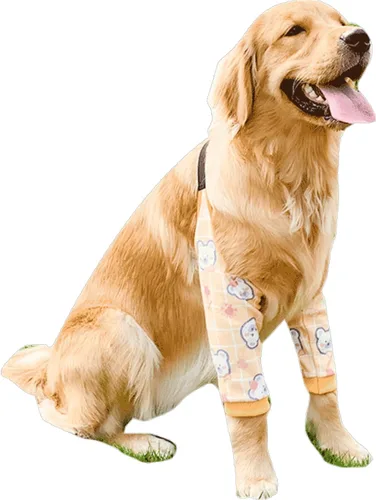 Vista 8 de Protector de codo para perro, coderas gruesas con almohadilla de malla para perros medianos y grandes, para invierno y otoño, evita lamer heridas