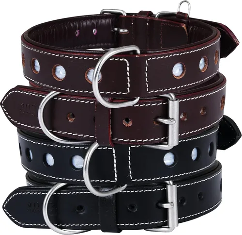 Vista 4 de Collar de Perro de Cuero Genuino Grano Completo, Resistente Cómodo, Acolchado, Fuerte Ideal para Cachorros, Razas Pequeñas, Medianas