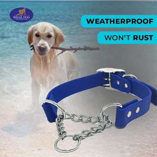Vista 7 de Regal Dog Products Collar Martingale para perros – Collar impermeable de bioano para perros pequeños, medianos y grandes – Cadena resistente