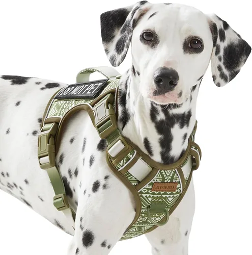 Vista 34 de Arnés para perro sin tirones para perros de tamaño pequeño, chaleco ajustable para caminar fácilmente, material Oxford transpirable, tiras Verde