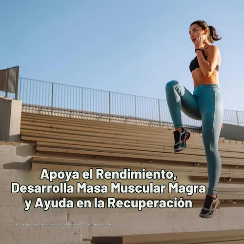 Vista 4 de Optimum Nutrition Cápsulas de monohidrato de creatina micronizada, aptas para Keto, 2500 mg, 100 cápsulas Micronized Creatine Monohydrate