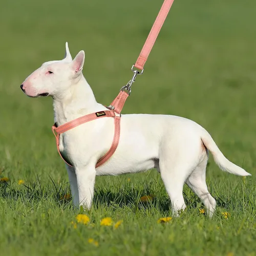 Vista 6 de Plutus Pet Step in Arnés para perro, reflectante, ajustable y seguro con hebillas de metal, arnés de ajuste rápido para cachorros, perros pequeños