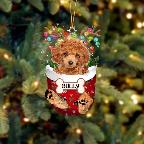 Vista 167 de IZI POD Affenpinscher Adorno de Navidad personalizado para perro, adorno de bolsillo de nieve para perro para árbol de Navidad, adorno acrílico