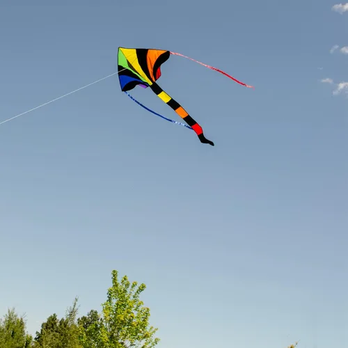 Vista 2 de In the Breeze 2903 Rainbow Sparkler 46 pulgadas Fly-Hi Delta Kite-Single Line kites