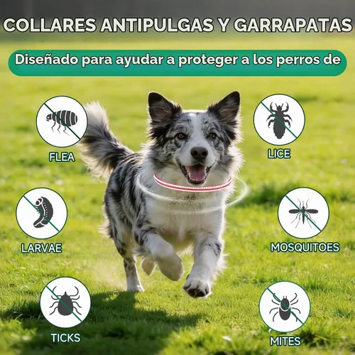 Vista 2 de Prevención de pulgas y garrapatas para perros, 4 collares antipulgas, 32