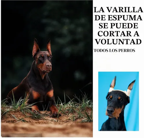 Vista 4 de Doberman - Kit de publicación de oído para el cuidado de los oídos, cinta Kit de cuidado de oídos Doberman, agarre seguro para dar forma a