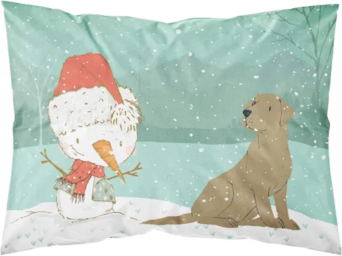 Vista 71 de Caroline's Treasures BB7625PILLOWCASE - Funda de almohada decorativa de tela con texto en inglés "Welcome Friends" Airedale Terrier estándar