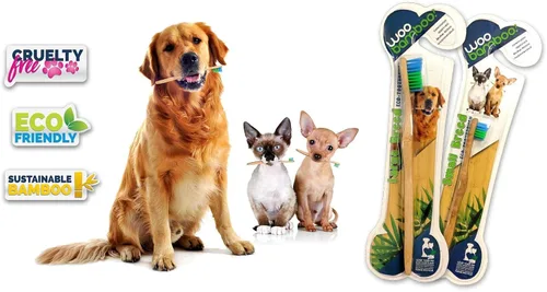 Vista 3 de Woobamboo! Cepillo de dientes ecológico de bambú para perros de raza grande, biodegradable, plástico negativo (paquete de 2)