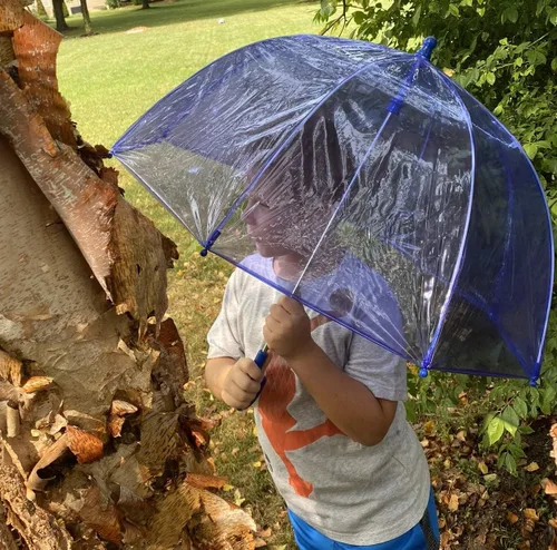 Vista 5 de Totes- Paraguas de burbujas transparente para niños con mango de fácil agarre), 2236-BLU