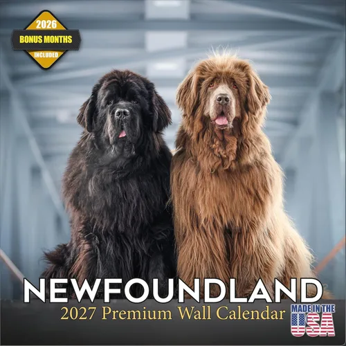 Vista 154 de Calendario de Lebrel Afgano 2025 2026, calendario mensual de pared de raza canina, 12" x 18" abierto, papel grueso sin traspaso, ideal para regalo