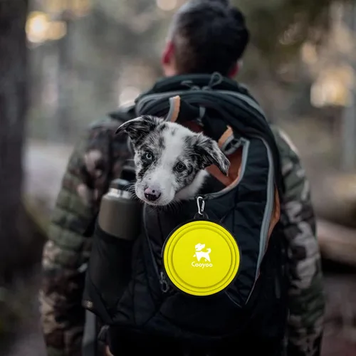 Vista 44 de COOYOO Cuenco plegable para perros, paquete de 2 cuencos plegables para agua para perros y gatos, plato portátil para alimentación de mascotas