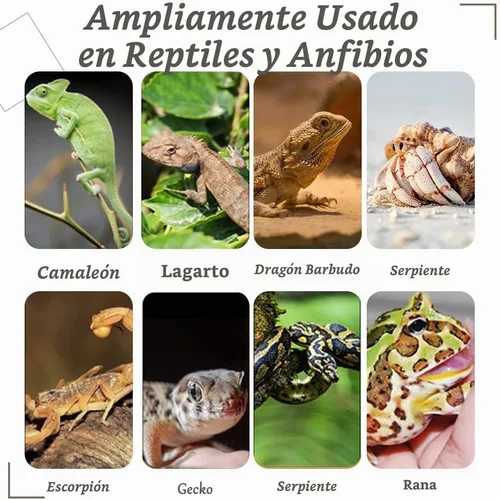 Vista 7 de Hamiledyi Plantas Artificiales para Reptiles, Vid Trepadora Flexible de Selva para Terrario, Rama de Ramas de Plástico Flexibles con Hojas Colgantes