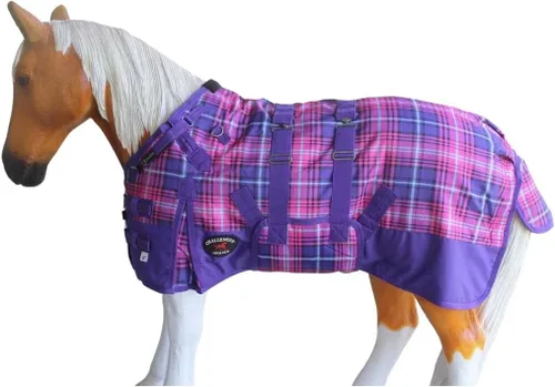 Vista 13 de CHALLENGER 1200D Foal Winter Blanket Miniature Pony Donkey Bellyband Turquoise Rustic