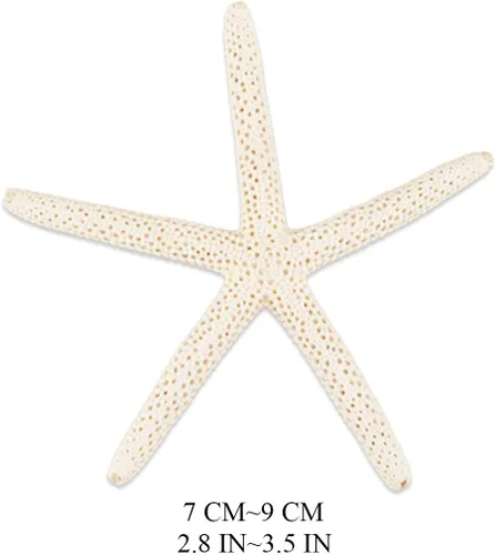 Vista 4 de Jangostor 20 piezas de estrellas de mar, conchas naturales de 2.5 a 4 pulgadas, conchas marinas naturales, estrellas de mar, estrellas de mar