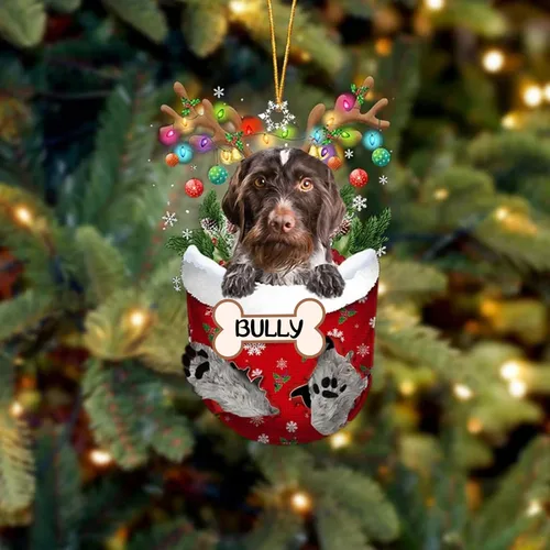 Vista 30 de IZI POD Affenpinscher Adorno de Navidad personalizado para perro, adorno de bolsillo de nieve para perro para árbol de Navidad, adorno acrílico