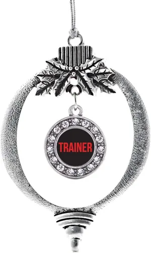 Vista 9 de Inspired Silver - Adorno con dije de cara de carlino - Adornos navideños de círculo de plata con joyas de circonita cúbica