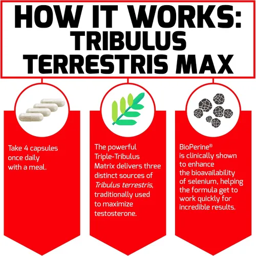 Vista 3 de Force Factor Tribulus Terrestris Max para hombres, refuerzo de testosterona y suplemento de vitalidad masculina, para absorción superior, 2000 mg