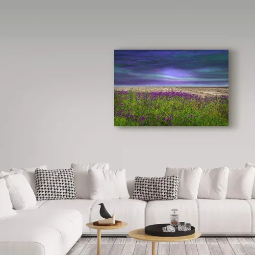 Vista 3 de Trademark Fine Art Lienzo de Barbara Simmons "Más allá de la flor silvestre