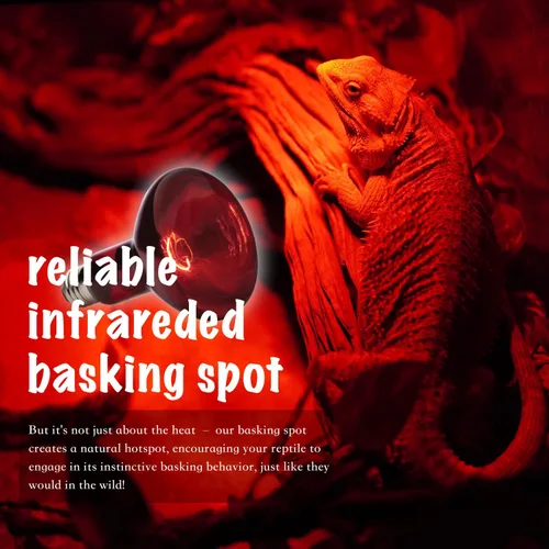 Vista 4 de Bombilla roja para reptiles, paquete de 2 focos infrarrojos mejorados de 100 W, luz de calefacción nocturna de reptiles, bombilla de calor rojo